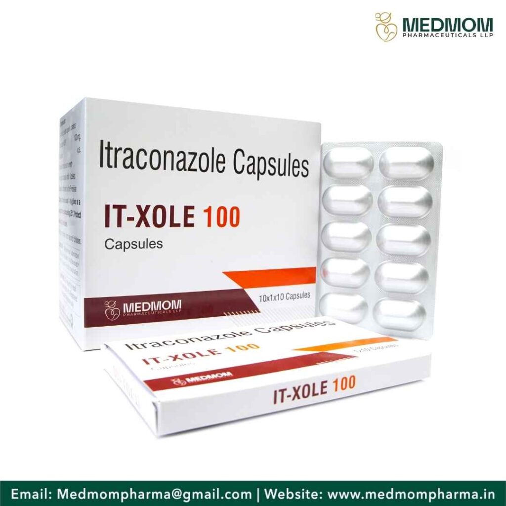 IT-XOLE 100