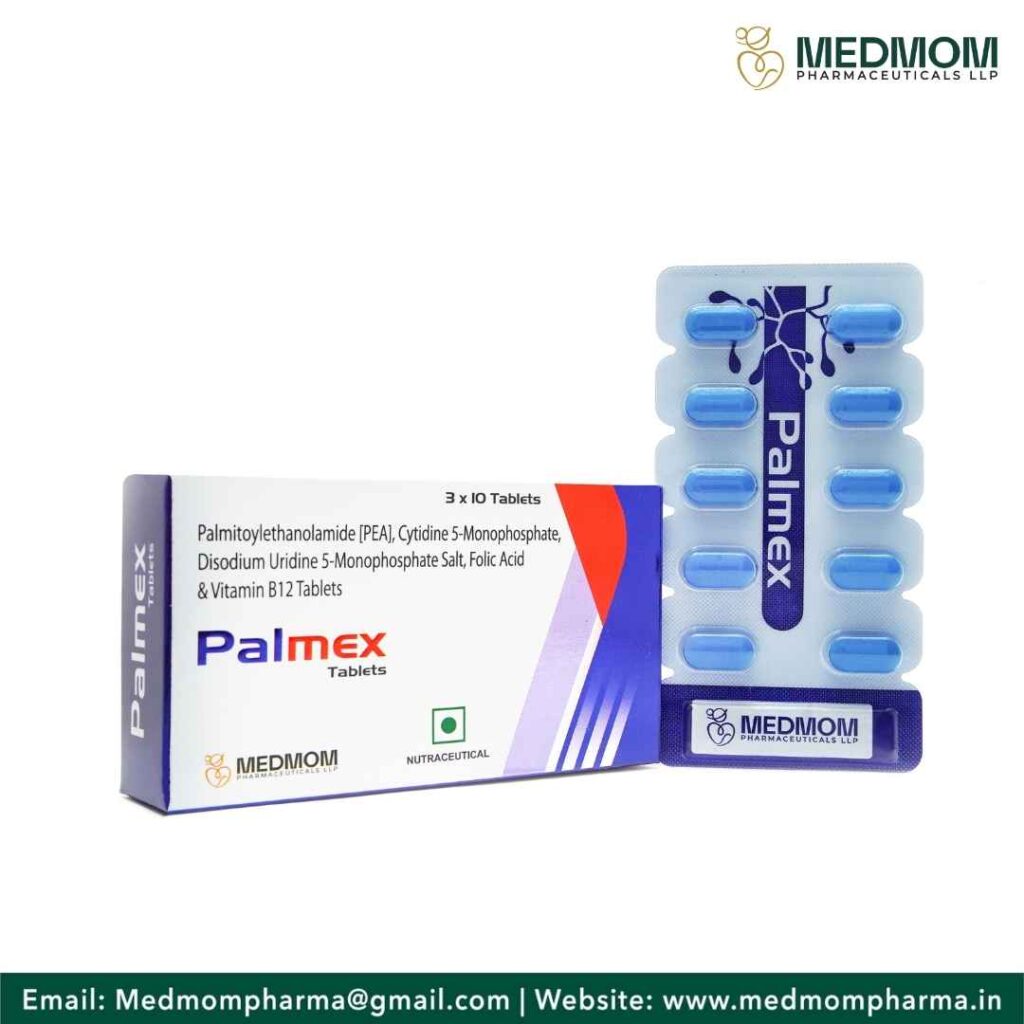 PALMEX